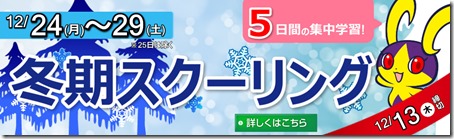 winterSC_banner